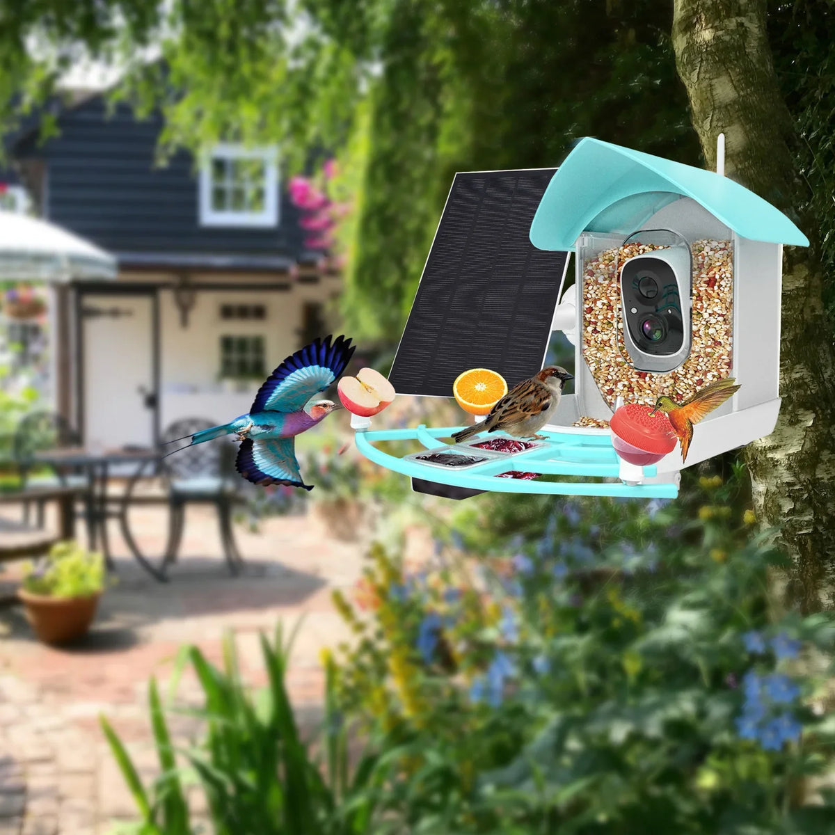 Camera App Camera Arealer Wireless Owsoo Surveillance Feeder 1080pVideo Vico camera,PirAi Powered Camera Wifi App Species Pir Solar Wifi Ai Video Feeder 1080p Resolution With Video