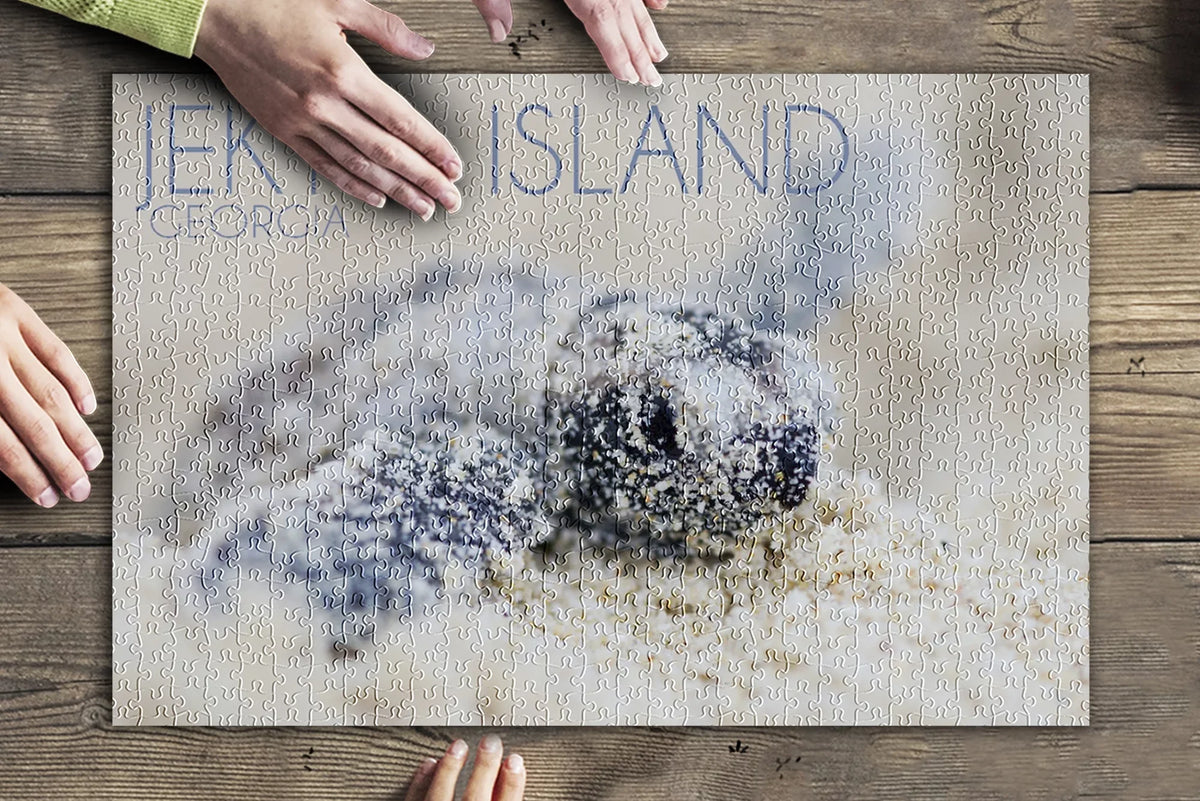 for Jigsaw Hawksbill Puzzle (19x27 USA) Georgia, 500 and in Adults Made Family, Premium Turtle Piece Island, inches, Jekyll Hatching