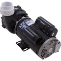 OEM 2.5ohp/4.0thp, 2", 230v, XP2, 48fr, Pump, Aqua Flo 2-Speed,