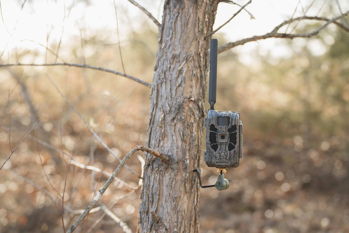 Cam Disceptor Glo No Stealth Cellular Hi-Resolution Camera Trail 40MP