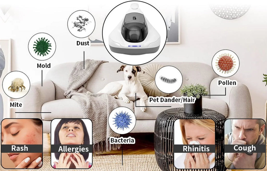 Handheld Pad&True Pulsating Sanitizer Vacuum Hair/Dust Kills Large with Allergen UV Allergens/Bacteria/Mite HEPA remove Cleaner