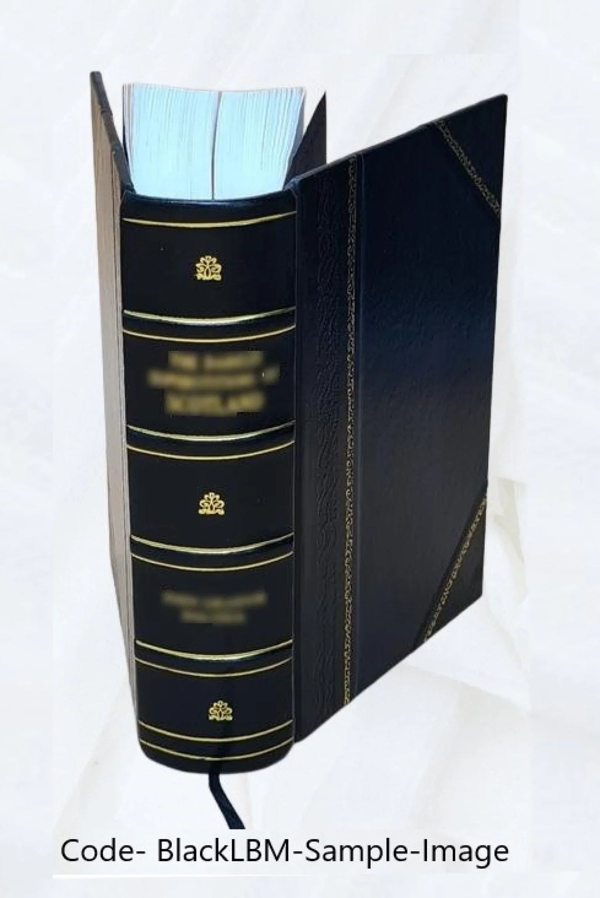 3. Scholia Pauli oratorum. genere De oratoribus. Manutij. De Ciceronis libri De claris 1569 optimo oratore [Leather Bound]