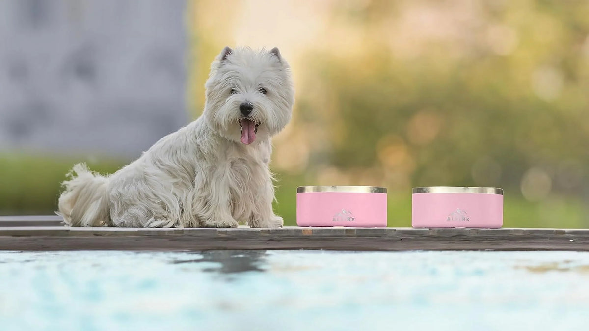 Stainless Pink) Insulated, (32 Walled Food Metal Water, ALPINE 2 Pet Bowls, Set Double Slip, oz, and Steel Dog Non for Bowl of Dishwasher Rustproof, Safe