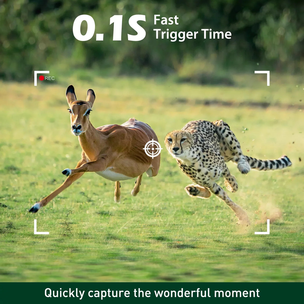 Latest Wide TOGUARD 4K Wildlife 0.1s Camera Deer Sensor Trigger Time with Card Trail for 120° Game Vision Monitor with 40MP Camera, Angel Waterproof Time-Lapse SD Trail Hunting Night IP66 Cam Motion