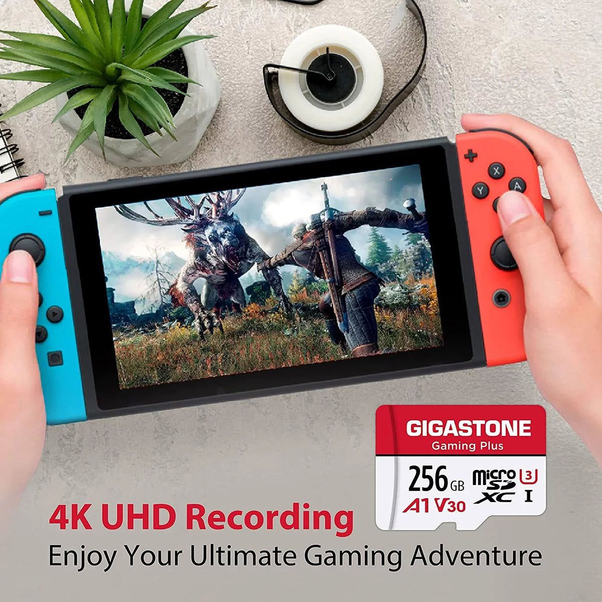 , Cam, 256GB [Giga] for Nintendo-Switch, ro Wyze, GoPro, Memory Gaming Plus, roSDXC SD Dash