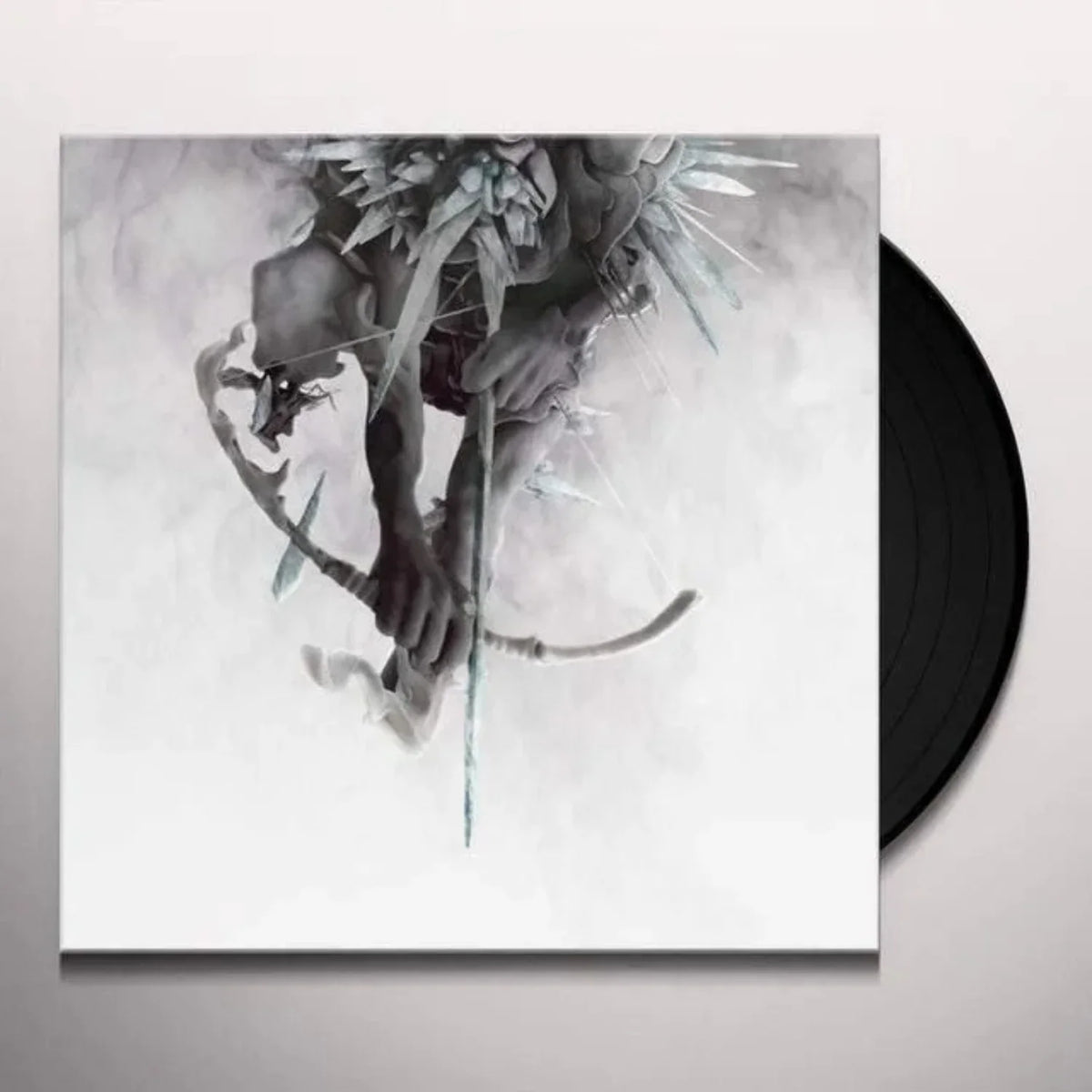 Rock Linkin Park Party Vinyl Hunting - - -