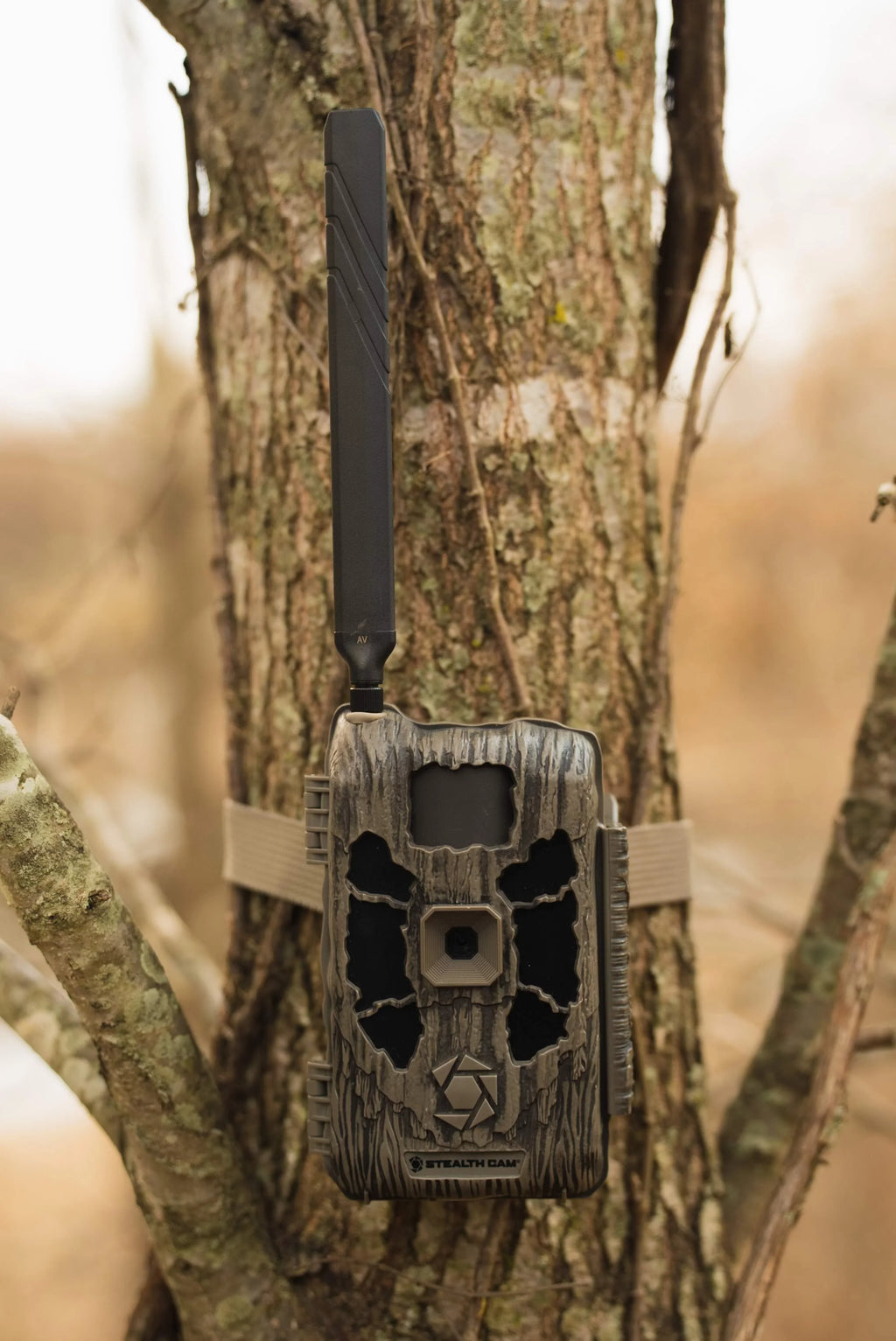 Cam Disceptor Glo No Stealth Cellular Hi-Resolution Camera Trail 40MP