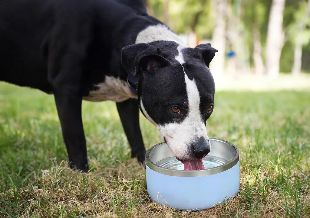 Stainless Pink) Insulated, (32 Walled Food Metal Water, ALPINE 2 Pet Bowls, Set Double Slip, oz, and Steel Dog Non for Bowl of Dishwasher Rustproof, Safe