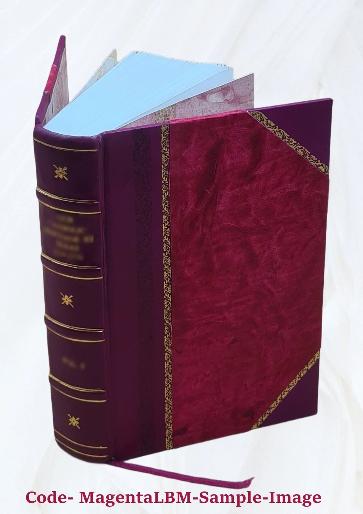 3. Scholia Pauli oratorum. genere De oratoribus. Manutij. De Ciceronis libri De claris 1569 optimo oratore [Leather Bound]
