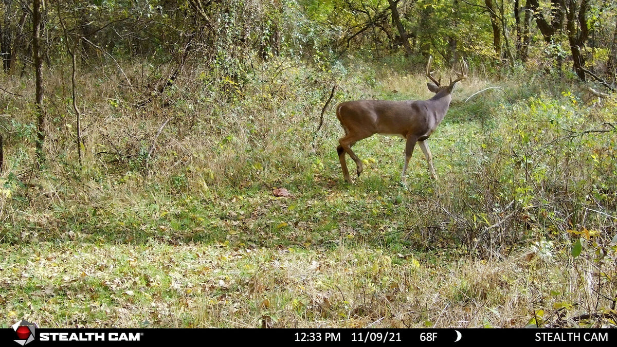 Ultimate Video 4K Monitor 32MP 30FPS, Trail Cam Hunting Stealth DS4K