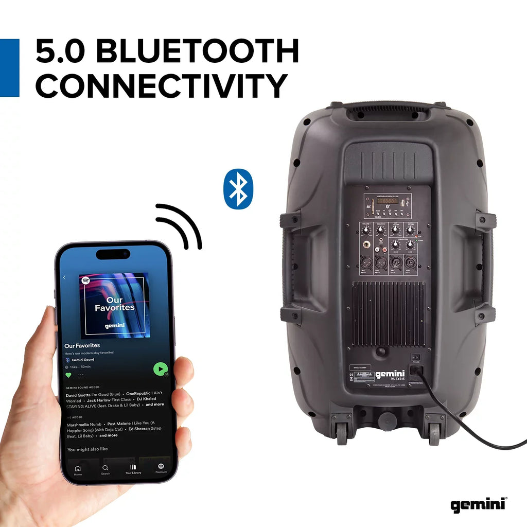 Complete Speaker Dual Gemini PA Package PA-SYS15