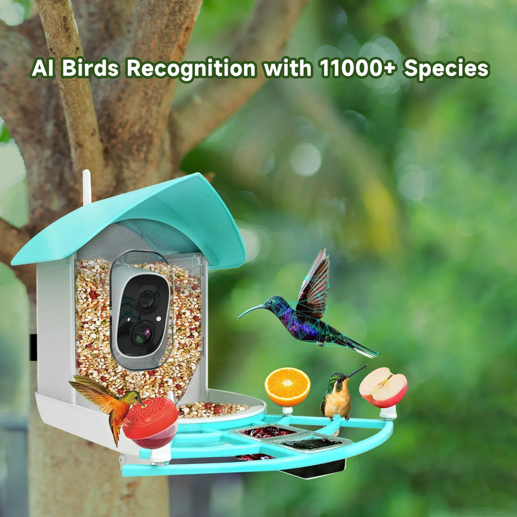 Camera App Camera Arealer Wireless Owsoo Surveillance Feeder 1080pVideo Vico camera,PirAi Powered Camera Wifi App Species Pir Solar Wifi Ai Video Feeder 1080p Resolution With Video