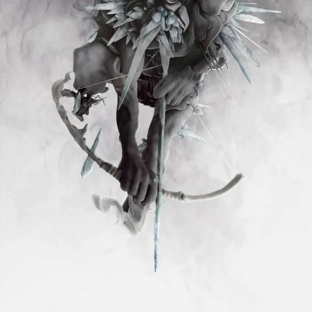 Rock Linkin Park Party Vinyl Hunting - - -
