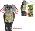& to Bird Outdoor hue Birds, Decoy Scare Sounds Yard Pest 360 Scarecrow Deterrent Scary Garden Head Protector Fake Patio for Owl Statue Spring Rotate Owl Owl Decoy Shadow Realistic
