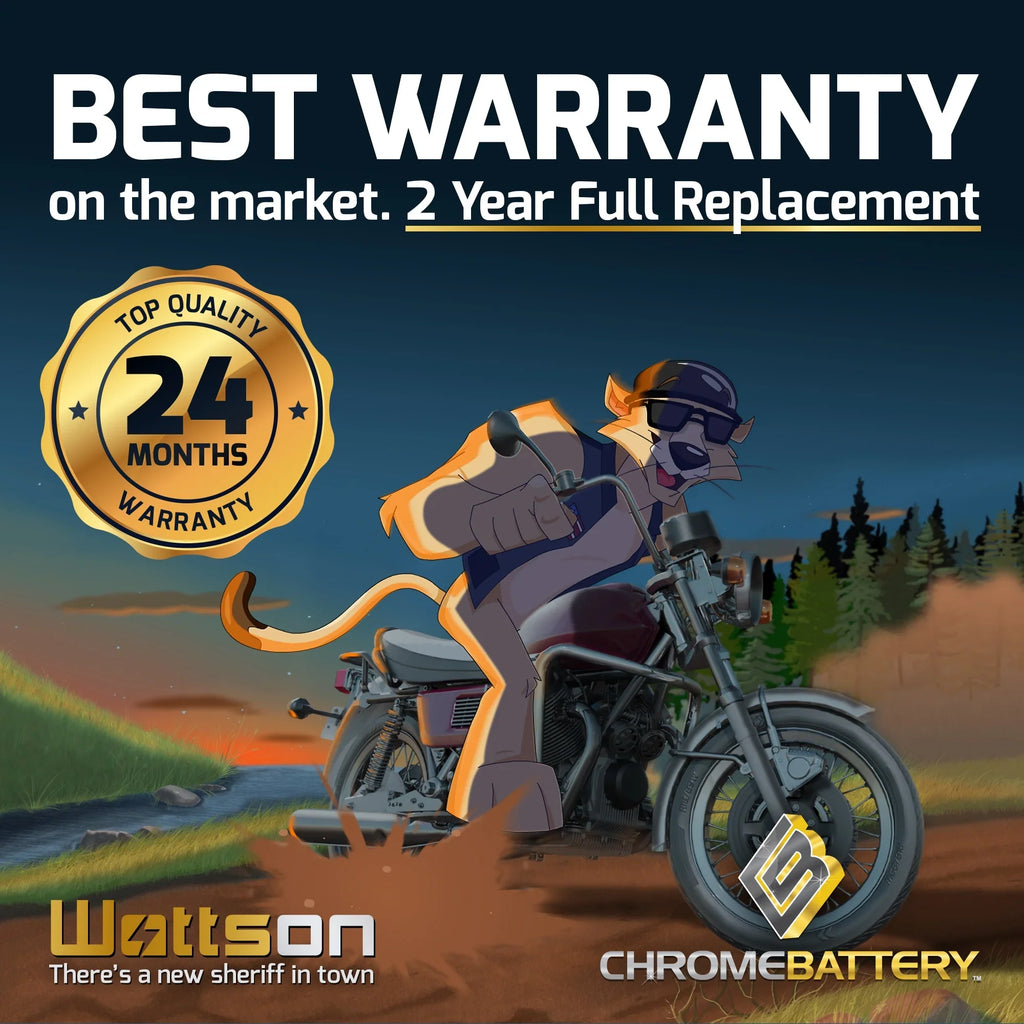 T 200 Vt1100c, 1100cc Shadow Motorcycle Battery CCA) (14-BS A. (spirit, 2001 C3, for Zipp 12 E. Volt,12 Honda YTX14-BS Battery C. Tourer) Ah, Aero,