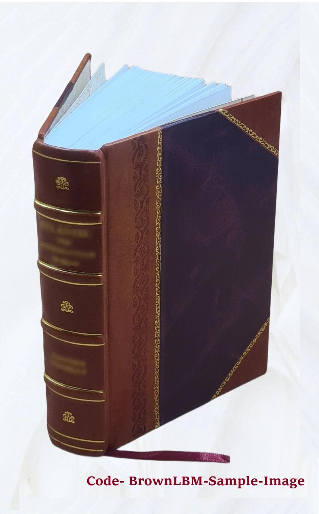 3. Scholia Pauli oratorum. genere De oratoribus. Manutij. De Ciceronis libri De claris 1569 optimo oratore [Leather Bound]