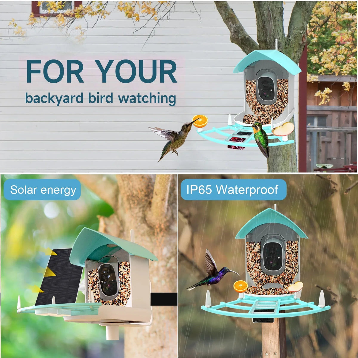 Camera App Camera Arealer Wireless Owsoo Surveillance Feeder 1080pVideo Vico camera,PirAi Powered Camera Wifi App Species Pir Solar Wifi Ai Video Feeder 1080p Resolution With Video
