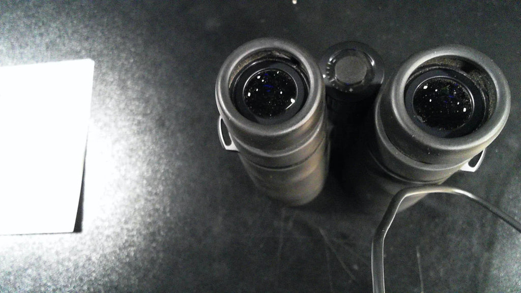 With Coating, Black HD Plus 10x42 Lens Ultravid Leica Binoculars AquaDura