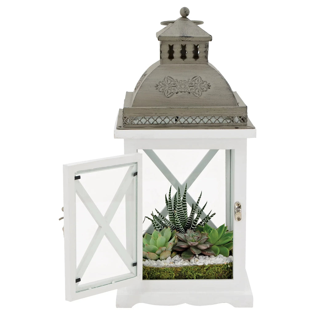 Lantern Products Hutch Arcadia Terrarium Garden