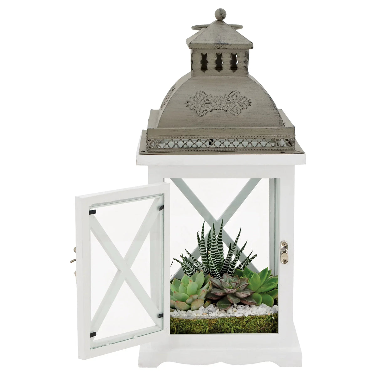 Lantern Products Hutch Arcadia Terrarium Garden