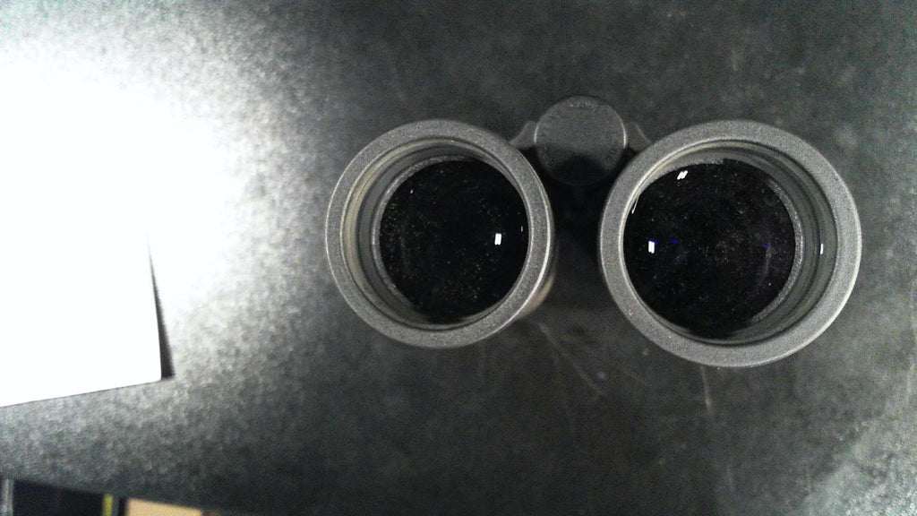 With Coating, Black HD Plus 10x42 Lens Ultravid Leica Binoculars AquaDura