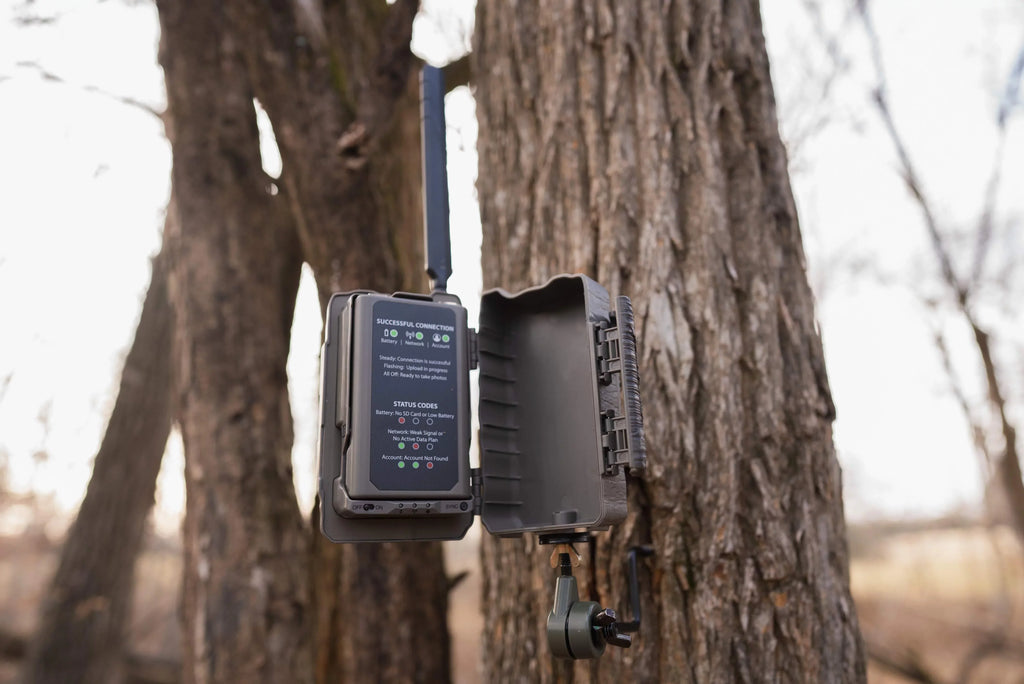 Cam Disceptor Glo No Stealth Cellular Hi-Resolution Camera Trail 40MP