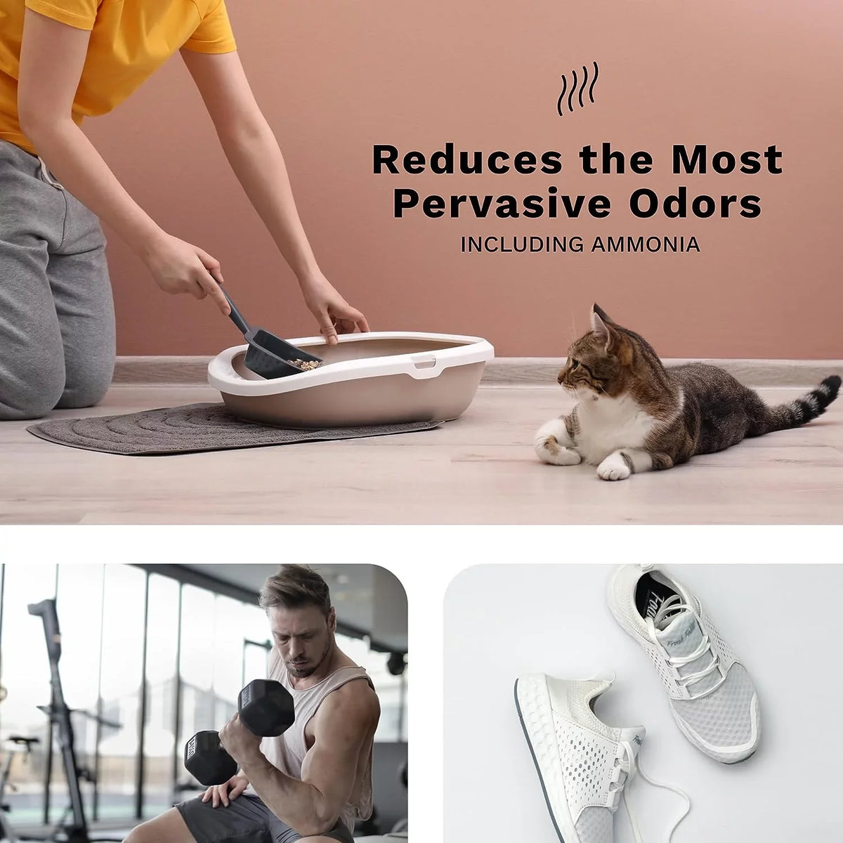 HOCL | at | DH Pets 99.9% Odor Eliminator of Surface Create Cleaner Cleaning Multi Supplies Lifelabs | - | Purpose Mildew Germs Smoking Generator Home & Eliminates Disinfectant Household Aaira Mold